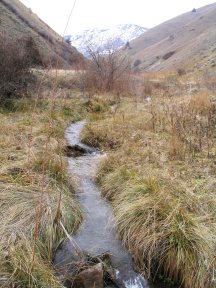 Mid-canyon December 2004