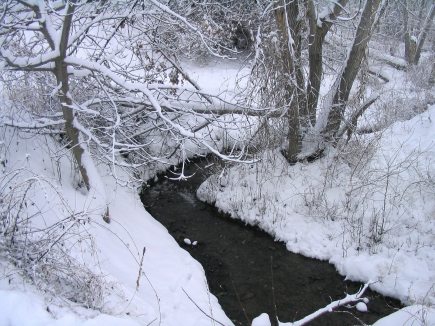 Fox Creek in winter