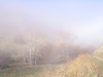 Mid-Canyon in fog.